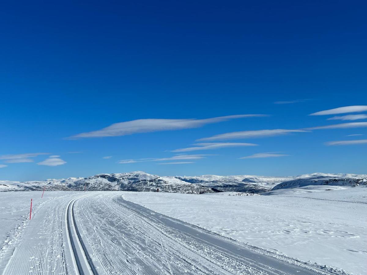 Panorama 15 - Beautiful Mountain View Daire Sogndal Dış mekan fotoğraf